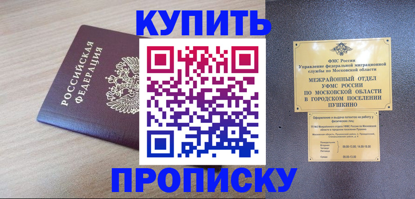 временная регистрация для всех в Волосово